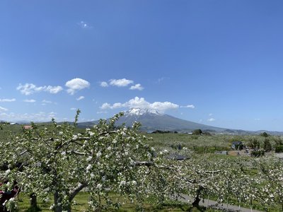 🍎 히로사키시 사과 공원(히로사키시 링고 코엔)